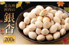 北九州河内 銀杏 200g【2025年11月上旬～2026年2月下旬発送予定】ぎんなん 福岡県産