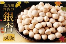 北九州河内 銀杏 500g【2025年11月上旬～2026年2月下旬発送予定】ぎんなん 福岡県産