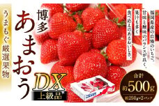 福岡県産特産品 うまもぐ厳選果物 福岡県産 博多あまおう DX上級品 約500g（約250g×2パック入り）【2025年12月発送】あまおう いちご 苺 イチゴ 果物 フルーツ