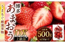 福岡県産特産品 うまもぐ厳選果物 福岡県産 博多あまおう DX上級品 約500g（約250g×2パック入り）【2025年12月発送】あまおう いちご 苺 イチゴ 果物 フルーツ