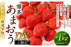 福岡県産特産品 うまもぐ厳選果物 福岡県産 博多あまおう DX上級品 約1kg（約250g×4パック入り）【2026年2月上旬-3月上旬発送】あまおう いちご 苺 イチゴ 果物 フルーツ