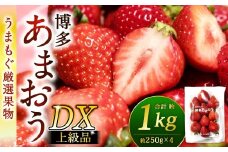 福岡県産特産品 うまもぐ厳選果物 福岡県産 博多あまおう DX上級品 約1kg（約250g×4パック入り）【2026年2月上旬-3月上旬発送】あまおう いちご 苺 イチゴ 果物 フルーツ