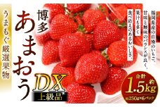 福岡県産特産品 うまもぐ厳選果物 福岡県産 博多あまおう DX上級品 約1.5kg（約250g×6パック入り）【2026年2月上旬-3月上旬発送】あまおう いちご 苺 イチゴ 果物 フルーツ