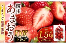 福岡県産特産品 うまもぐ厳選果物 福岡県産 博多あまおう DX上級品 約1.5kg（約250g×6パック入り）【2026年2月上旬-3月上旬発送】あまおう いちご 苺 イチゴ 果物 フルーツ