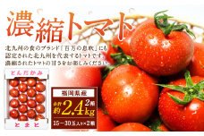 福岡県北九州市若松区産 若松濃縮トマト 約2.4kg 【1.2kg箱（15玉～30玉入り）×2箱】【2026年3月下旬～6月下旬発送予定】トマト とまと 野菜 国産 北九州市産