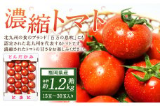 福岡県北九州市若松区産 若松濃縮トマト 1.2kg箱（15玉～30玉入り）【2026年3月下旬～6月下旬発送予定】とまと トマト 野菜 国産 北九州市産