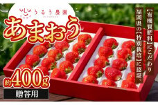 贈答用 あまおう 約400g【2025年1月下旬～2025年3月下旬順次発送予定】いちご イチゴ 苺 フルーツ 果物 福岡県産