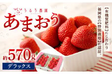 うるう農園 デラックス あまおう 2パック（約570g）【2025年1月下旬～2025年3月下旬順次発送予定】いちご イチゴ 苺 フルーツ 果物 福岡県産