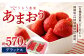 うるう農園 デラックス あまおう 2パック（約570g）