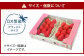 うるう農園 デラックス あまおう 2パック（約570g）