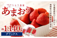 うるう農園 デラックス あまおう 4パック（約1140g）【2025年1月下旬～2025年3月下旬順次発送予定】いちご イチゴ 苺 フルーツ 果物 福岡県産