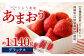 うるう農園 デラックスあまおう 4パック（約1140g）