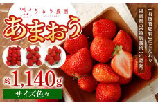 うるう農園 サイズ色々 あまおう 4パック（約1140g）【2025年1月下旬～2025年3月下旬順次発送予定】いちご イチゴ 苺 フルーツ 果物 福岡県産