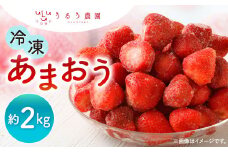 うるう農園 冷凍あまおう 約2kg【2025年1月下旬～2025年3月上旬順次発送予定】あまおう いちご イチゴ 苺 フルーツ 果物 福岡県産