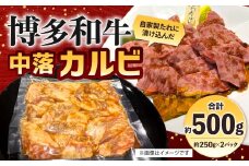 自家製たれ漬けに漬け込んだ 博多和牛 中落カルビ 約500g（約250g×2パック）中落ちカルビ カルビ 牛肉 肉 博多和牛 自家製たれ 冷凍 福岡県産