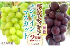 高級ぶどう・シャインマスカット＆藤稔 2房セット《化粧箱入り》【2025年8月下旬～2025年9月上旬発送予定】2種類 食べ比べ フルーツ くだもの ブドウ ぶどう マスカット 大粒 良房 