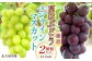 高級ぶどう・シャインマスカット＆藤稔 2房セット《化粧箱入り》