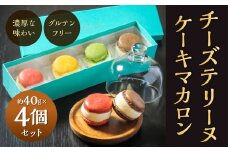 チーズテリーヌケーキ マカロン 約40g×4個セット ラズベリー レモン チョコ 抹茶 食べ比べ スイーツ お菓子 焼き菓子 焼菓子
