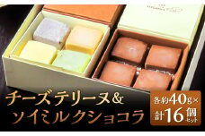チーズテリーヌ ＆ ソイミルクショコラ 計16個セット 5種類 食べ比べ 1個約40g 西京仕立味噌 八女抹茶 黒ゴマ 黒糖きなこ チョコレート 焼菓子 焼き菓子