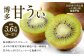 福岡県産 博多甘うぃ 約3.6kg（20玉～27玉入り）