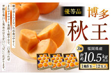 福岡県産 博多秋王【優等品】 計約10.5kg以上【約3.5kg以上（8玉～12玉入り） ×3箱】【2025年11月上旬～11月下旬発送予定】柿 かき 果物 フルーツ くだもの 先行予約