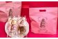 Neko-neige ネコネージュ 6本入り