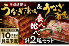 【10営業日発送】九州産 手焼き炭火うなぎ蒲焼 ＆ うなぎ蒲焼 食べ比べ 2尾 セット うなぎ 蒲焼 冷凍