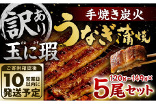 【10営業日発送】【訳あり】玉に瑕 九州産 手焼き炭火うなぎ蒲焼 5尾 （1尾あたり120-149g）うなぎ 蒲焼 冷凍