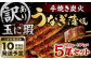 【訳あり】玉に瑕 九州産 手焼き炭火うなぎ蒲焼 5尾 （1尾あたり120-149g）