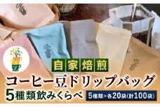 自家焙煎 コーヒー豆 ドリップバッグ 5種類 計100袋 飲みくらべ セット 1袋10g【思いやり型返礼品】コーヒー 豆 飲み比べ