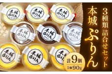 【指定日必須】 本城ぷりん 詰め合わせ セット （90g×9個） プリン ぷりん 生チョコぷりん レアチーズぷりん
