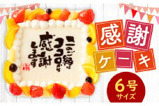【指定日必須】 感謝ケーキ 6号（18cm×18cm） ケーキ 写真ケーキ プリントケーキ スイーツ デザート 生クリーム 洋菓子