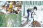 合馬たけのこ 水煮 詰合せ