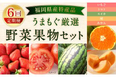 【福岡県産 特産品 年6回定期便】うまもぐ厳選 野菜果物セット 定期便 野菜 果物 詰め合わせ
