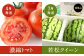 【福岡県産 特産品 年6回定期便】うまもぐ厳選 野菜果物セット