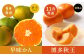 【福岡県産 特産品 年6回定期便】うまもぐ厳選 野菜果物セット