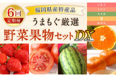 【福岡県産 特産品 年6回定期便】うまもぐ厳選 野菜果物セットDX 定期便 野菜 果物 詰め合わせ