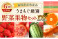 【福岡県産 特産品 年6回定期便】うまもぐ厳選 野菜果物セットDX