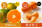 【福岡県産 特産品 年6回定期便】うまもぐ厳選 野菜果物セットDX