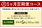 【5ヶ月定期便】 辛子明太子 「昔ながらの明太子」 （小切れタイプ） 約500g×2個セット