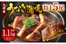 九州産 うなぎ 蒲焼 特上 5尾 計1.1kg以上 (1尾あたり220～235g)【2025年9月発送】