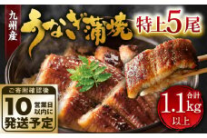 九州産 うなぎ 蒲焼 特上 5尾 計1.1kg以上 (1尾あたり220～235g)【順次発送】