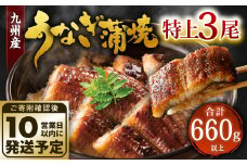 九州産 うなぎ 蒲焼 特上 3尾 計660g以上 (1尾あたり220～235g)【順次発送】