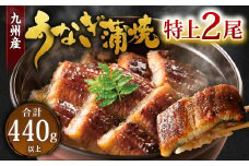 九州産 うなぎ 蒲焼 特上 2尾 計440g以上 (1尾あたり220～235g)【2025年9月発送】