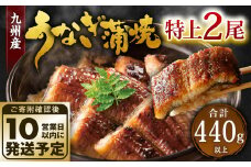 九州産 うなぎ 蒲焼 特上 2尾 計440g以上 (1尾あたり220～235g)【順次発送】