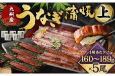 九州産 うなぎ 蒲焼 上 5尾 (1尾あたり160～189g)【2025年9月発送】