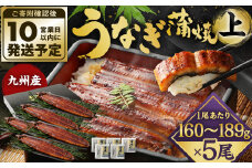 九州産 うなぎ 蒲焼 上 5尾 (1尾あたり160～189g)【順次発送】