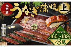 九州産 うなぎ 蒲焼 上 3尾 (1尾あたり160～189g)【2025年9月発送】