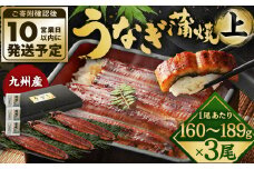 九州産 うなぎ 蒲焼 上 3尾 (1尾あたり160～189g)【順次発送】
