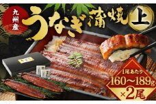 九州産 うなぎ 蒲焼 上 2尾 (1尾あたり160～189g)【2025年8月発送】